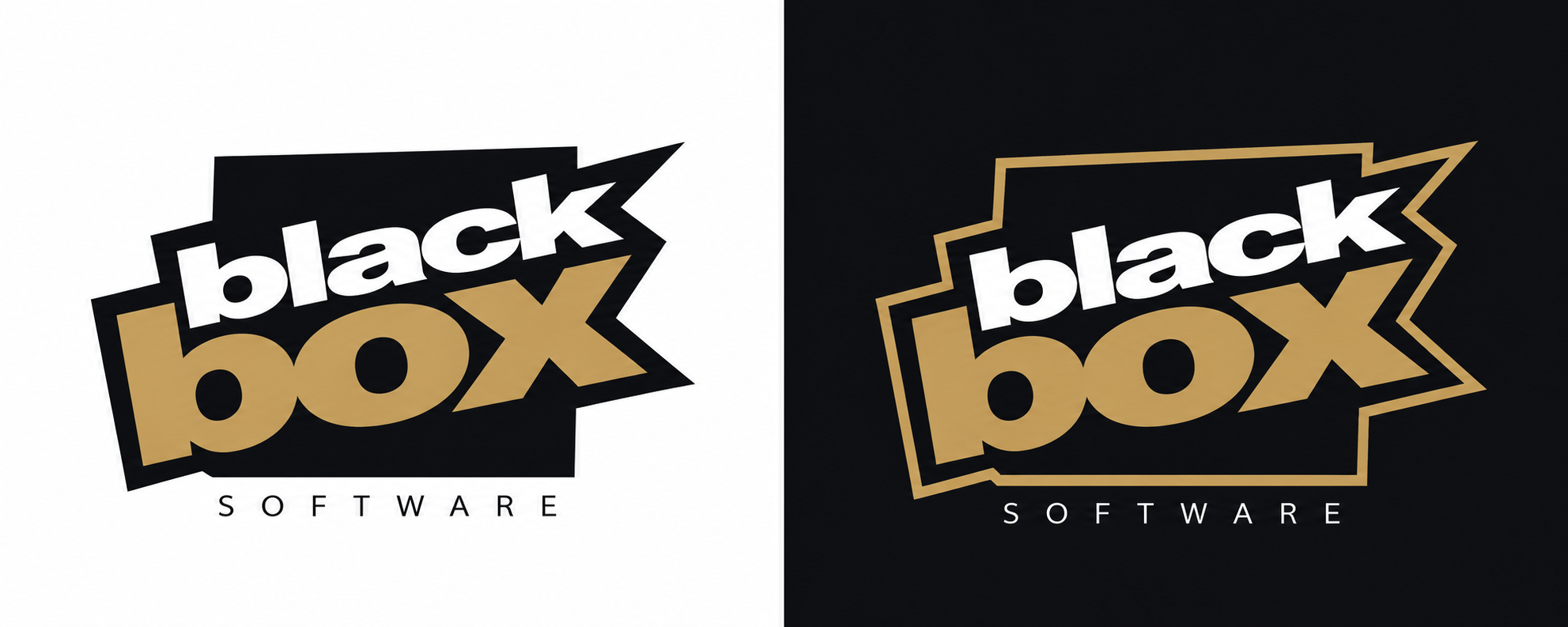 Blackbox Software